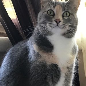 Meet your Posher, Catherine